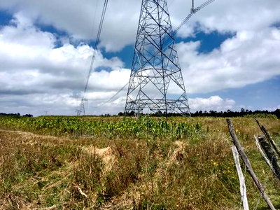 Prime 100 Acres for Sale - Image 2