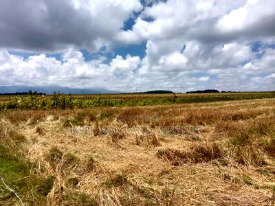 Prime 100 Acres for Sale - Image 1