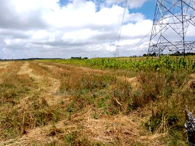 Prime 100 Acres for Sale - Image 3