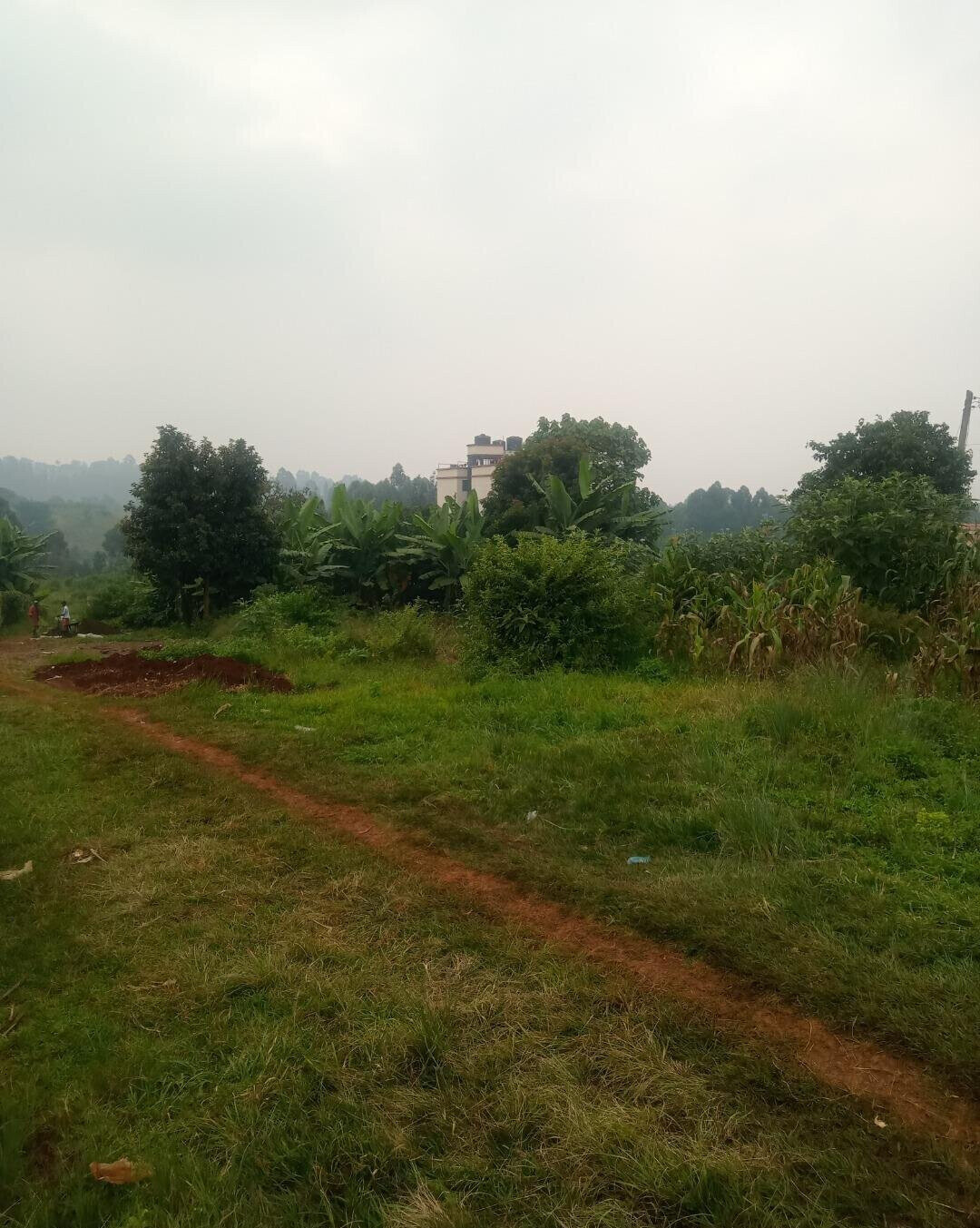 KSh 12M Ruaka Plot