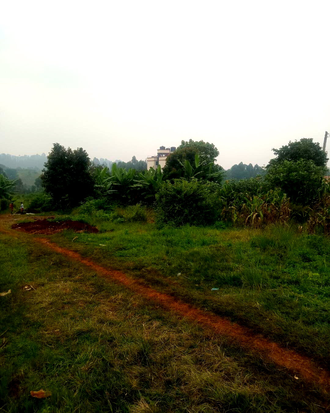 KSh 12M Ruaka Plot