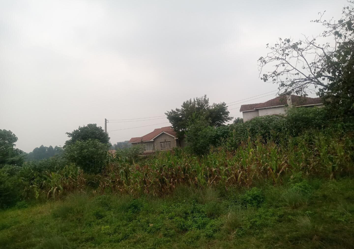 KSh 12M Ruaka Plot