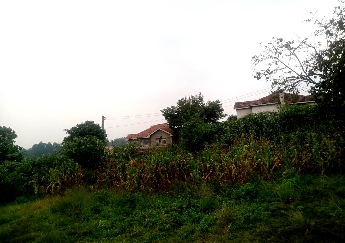 KSh 12M Ruaka Plot
