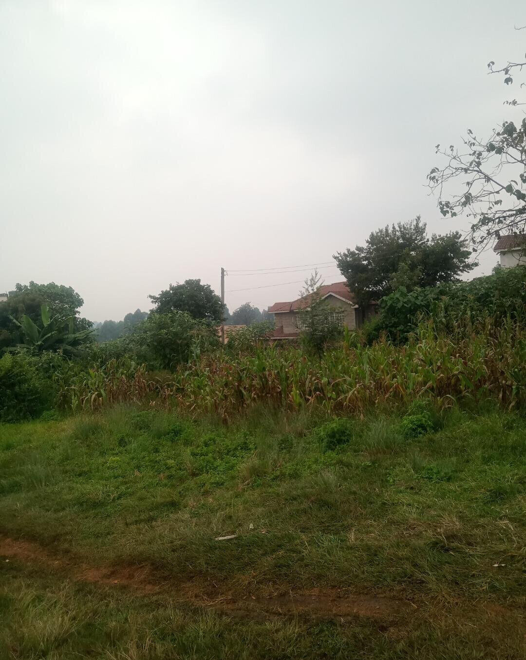 KSh 12M Ruaka Plot
