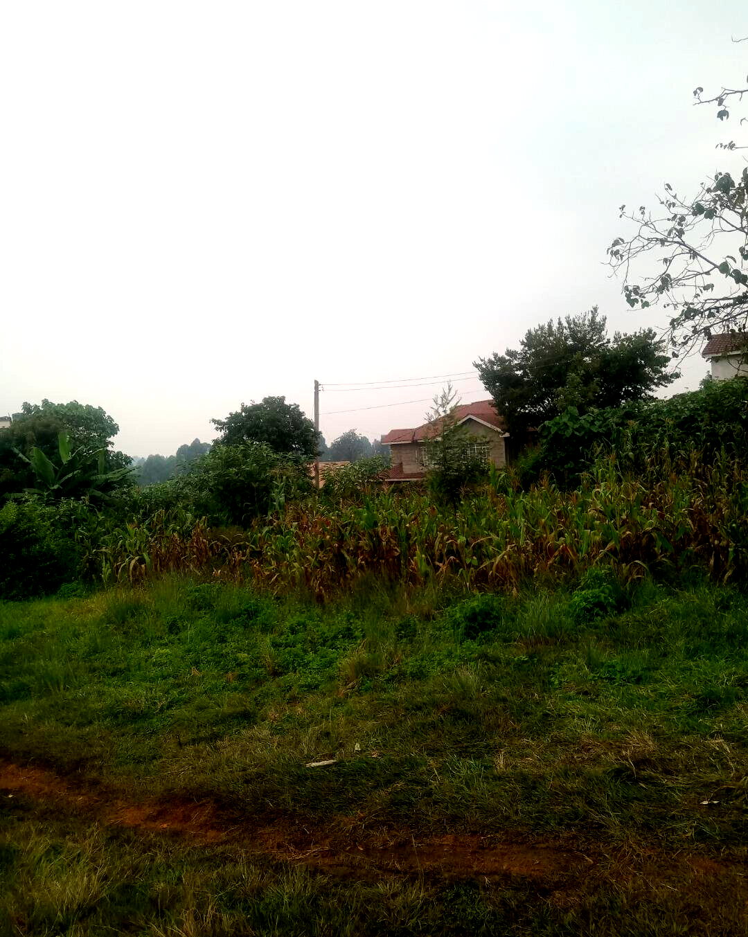 KSh 12M Ruaka Plot