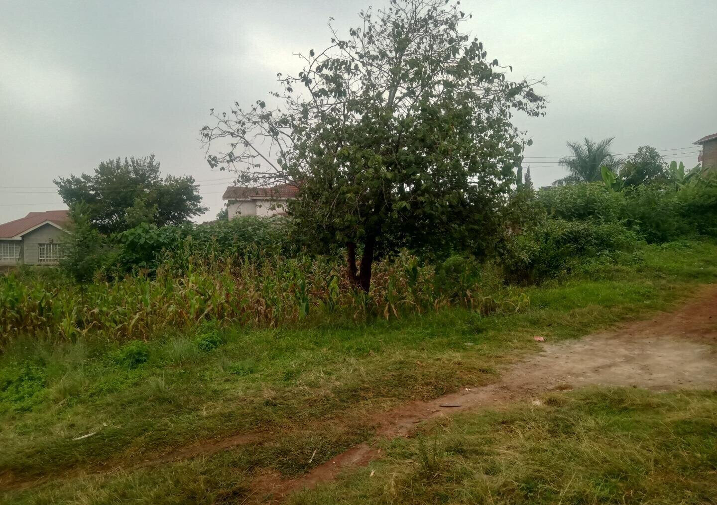 KSh 12M Ruaka Plot
