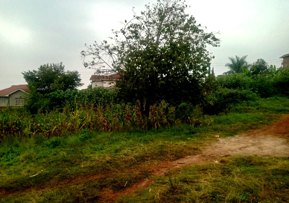 KSh 12M Ruaka Plot