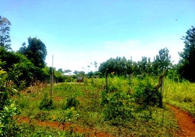 KSh 2.2M Riat Hills Plot