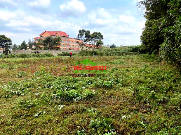 Prime Commercial Plot for Sale in Limuru Town.