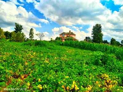 Vilageinn- - Image 2