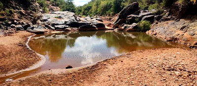 Embu ,Kiambere 13.5 Acres Agricultural Farmland. - Image 8