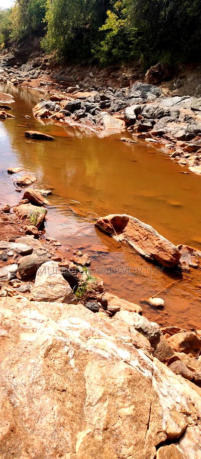 Embu ,Kiambere 13.5 Acres Agricultural Farmland. - Image 3