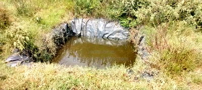 Nagum Eburru Gilgil 5 Acres - Image 5