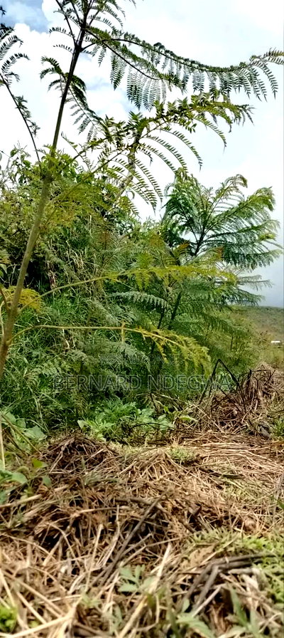 Nagum Eburru Gilgil 5 Acres - Image 9