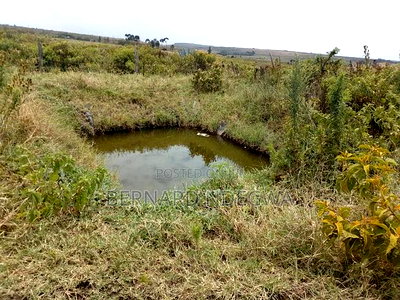 Nagum Eburru Gilgil 5 Acres - Image 4