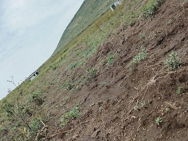 Nagum Eburru Gilgil 5 Acres
