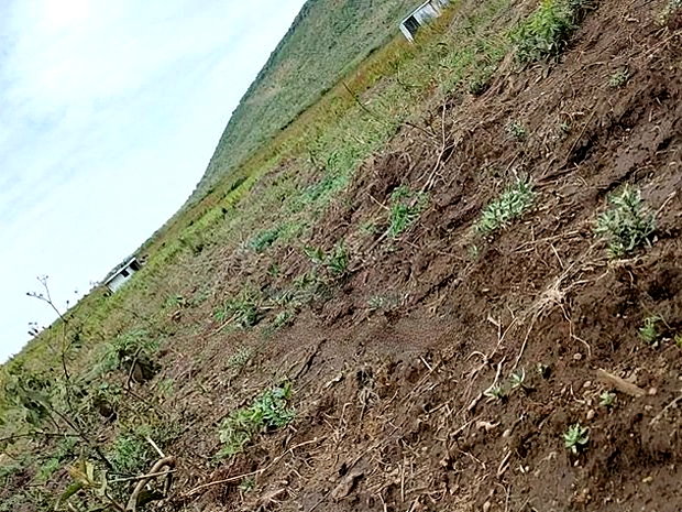 Nagum Eburru Gilgil 5 Acres