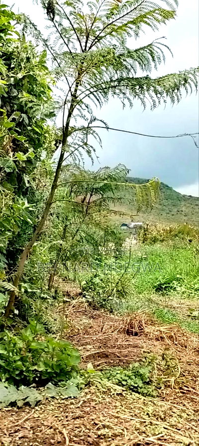 Nagum Eburru Gilgil 5 Acres - Image 8