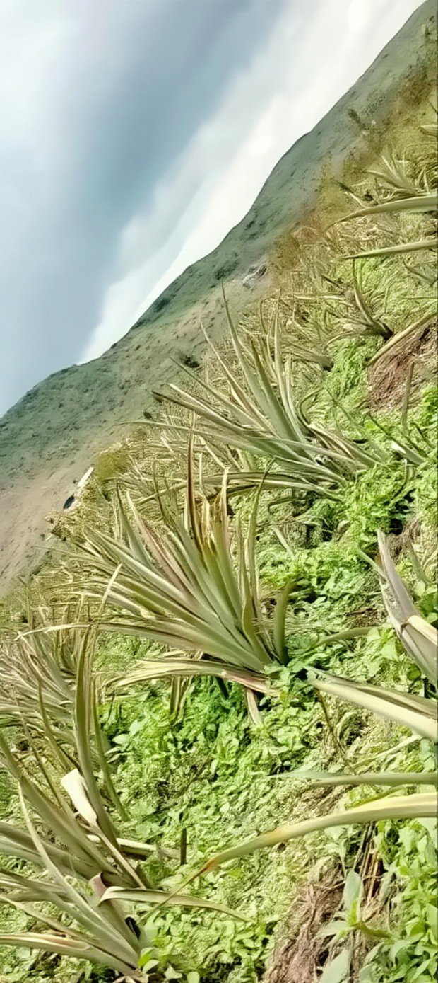 Nagum Eburru Gilgil 5 Acres