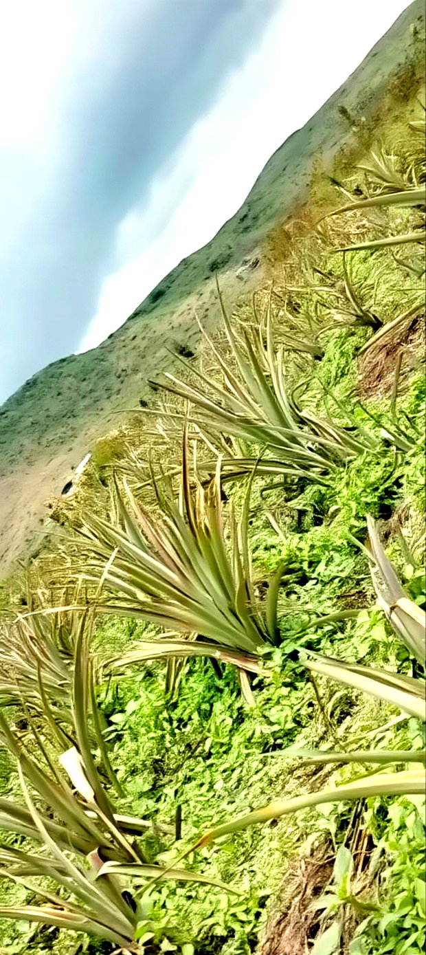 Nagum Eburru Gilgil 5 Acres