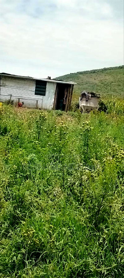 Nagum Eburru Gilgil 5 Acres - Image 3