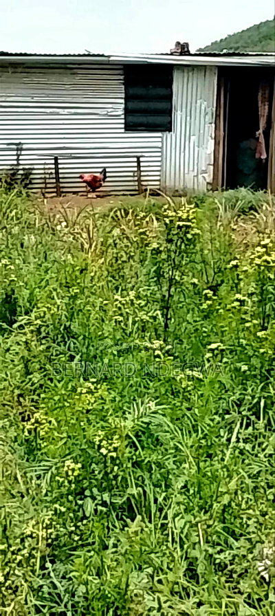 Nagum Eburru Gilgil 5 Acres - Image 12