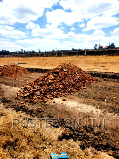 Lipa Mdogo Mdogo Joska Plots .