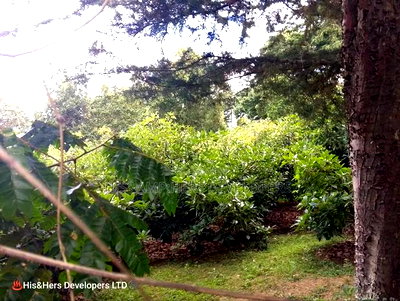 9 Acres Virgin Land, Subukia for Avocado Farming With Title - Image 2