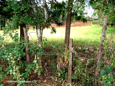 9 Acres Virgin Land, Subukia for Avocado Farming With Title - Image 3