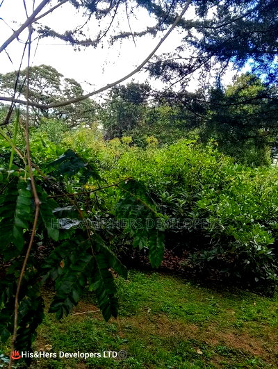 9 Acres Virgin Land, Subukia for Avocado Farming With Title - Image 1