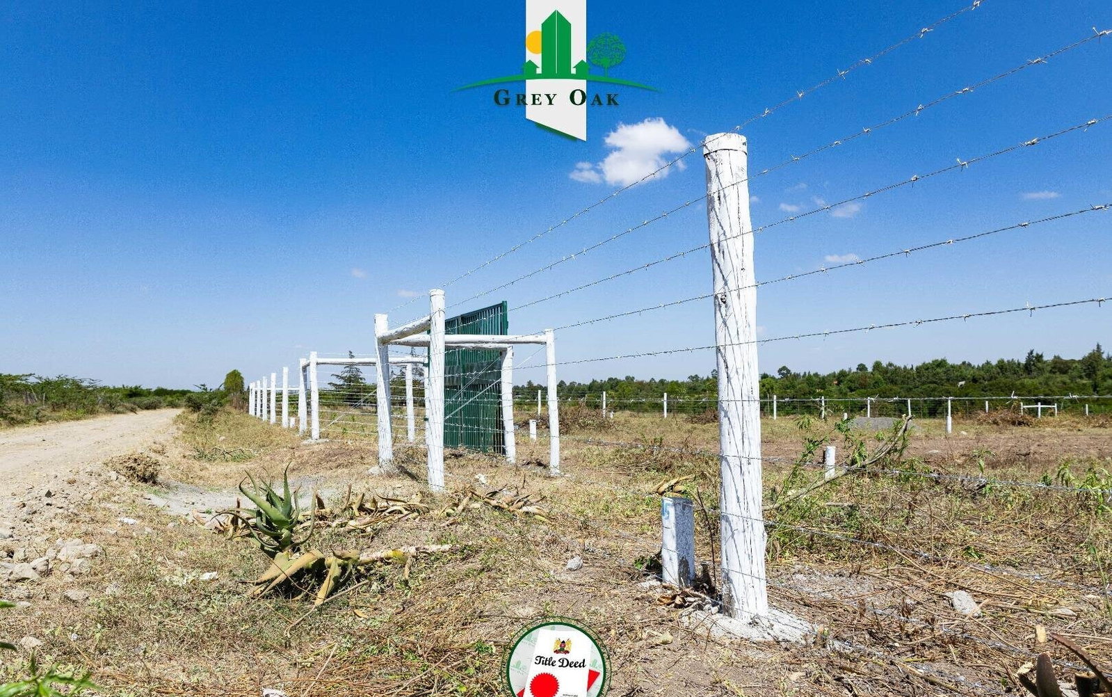 50x100 Plot in Laikipia Central