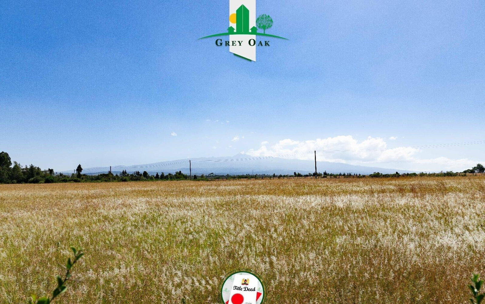 50x100 Plot in Laikipia Central