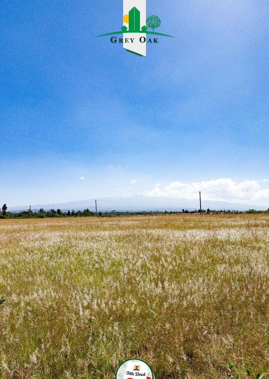 50x100 Plot in Laikipia Central