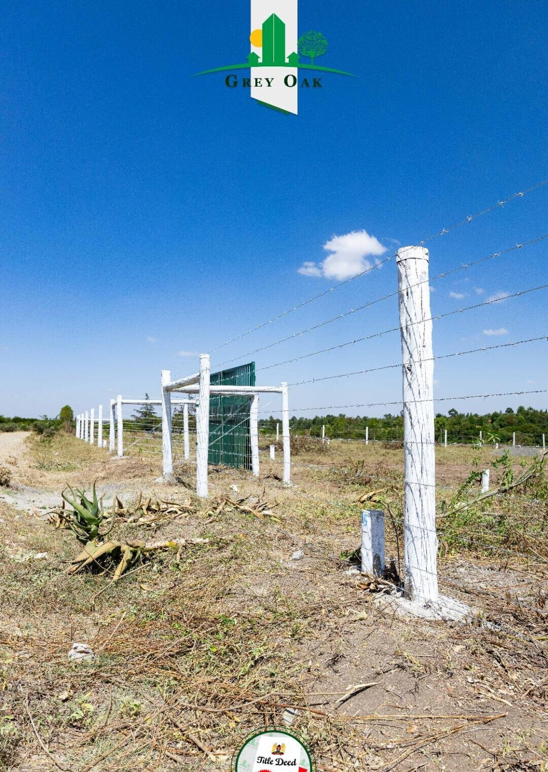 50x100 Plot in Laikipia Central
