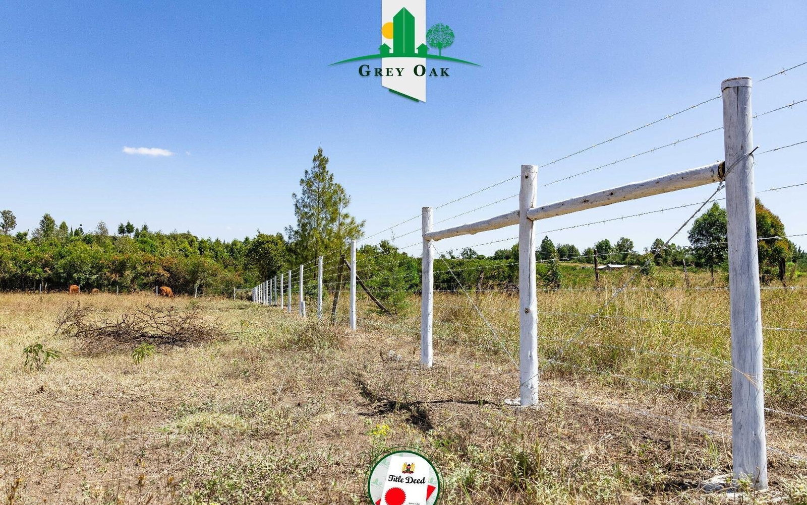 50x100 Plot in Laikipia Central