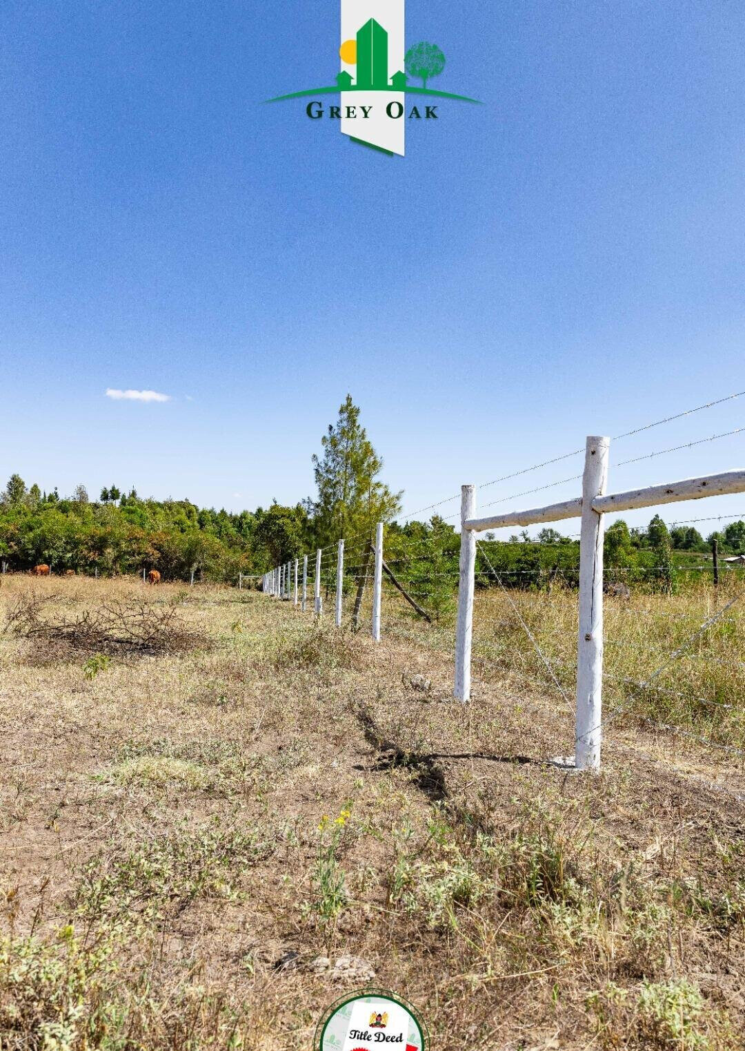 50x100 Plot in Laikipia Central