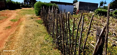 Reidentical Plot for Sale in Chepkanga Eldoret - Image 3