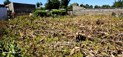 Reidentical Plot for Sale in Chepkanga Eldoret - Image 1