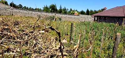 Reidentical Plot for Sale in Chepkanga Eldoret - Image 5