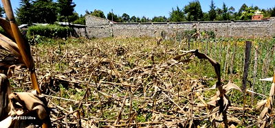 Reidentical Plot for Sale in Chepkanga Eldoret - Image 6