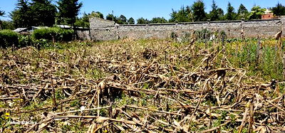 Reidentical Plot for Sale in Chepkanga Eldoret - Image 2