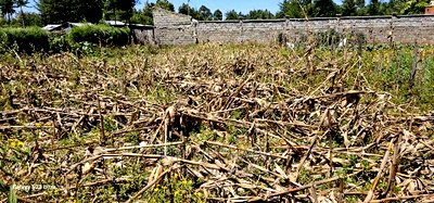 Reidentical Plot for Sale in Chepkanga Eldoret - Image 8