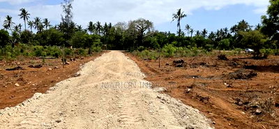 Prime 50x100ft Plots for Sale in Kilifi Tezo - Image 2
