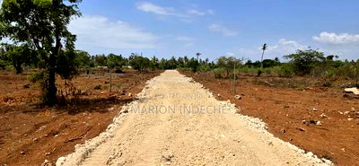 Prime 50x100ft Plots for Sale in Kilifi Tezo - Image 4