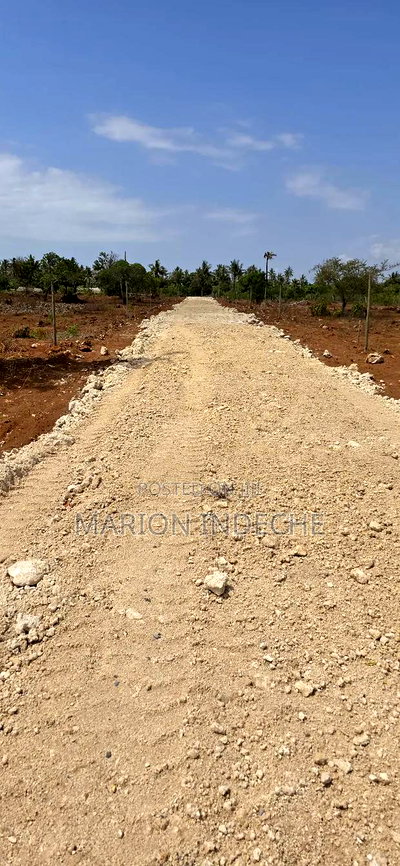Prime 50x100ft Plots for Sale in Kilifi Tezo - Image 3