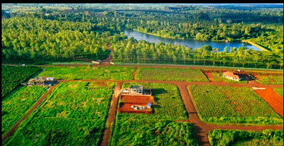 1/4 Acre Garden Plot with Parking