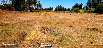 Plots for Sale in Eldoret Racecours Redcross in Eldoret City - Image 7