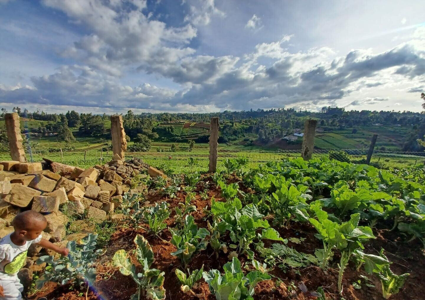2-Acre Farm with Garden for Rent at KSh 120K