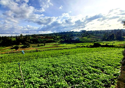 2-Acre Farm with Garden for Rent at KSh 120K