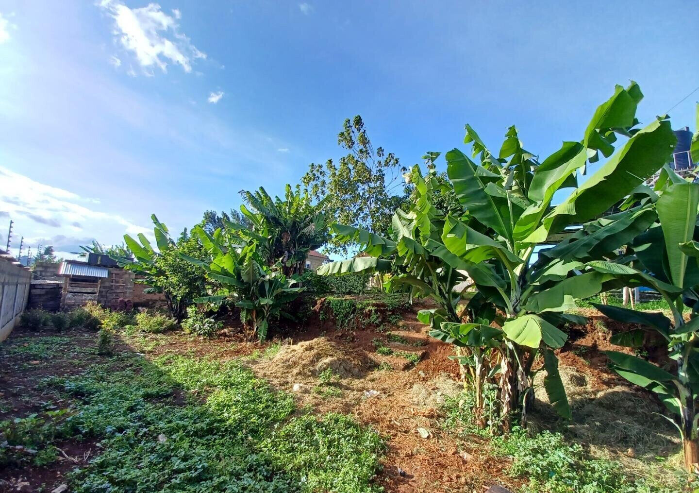 2-Acre Farm with Garden for Rent at KSh 120K